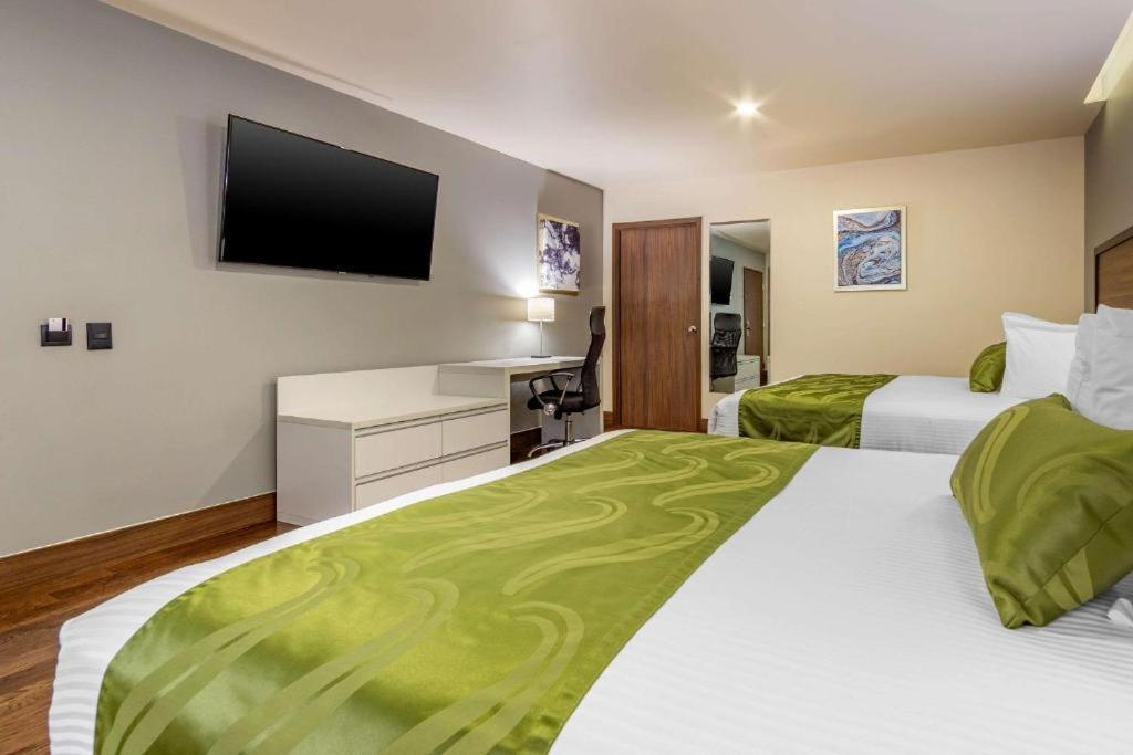 Quality Inn Chihuahua San Francisco Quarto foto